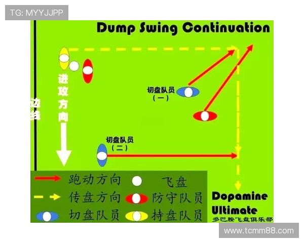 杭州飞盘队与南京飞盘队赛后分析力量对比与战术探讨