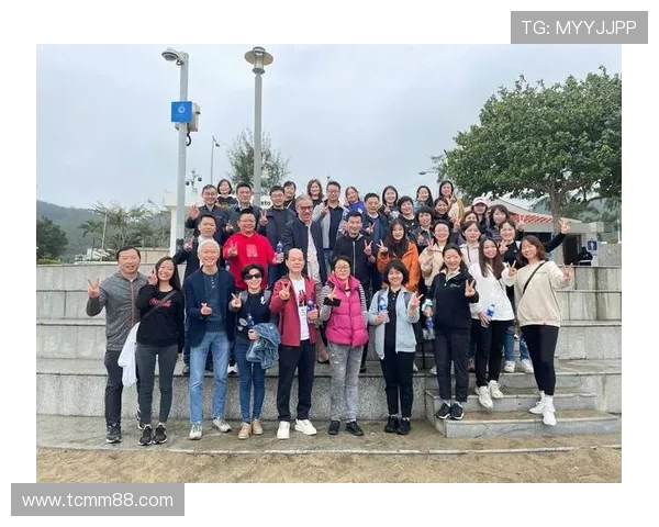 深圳飞盘队团队协作深度解析与其他队伍的比较分析